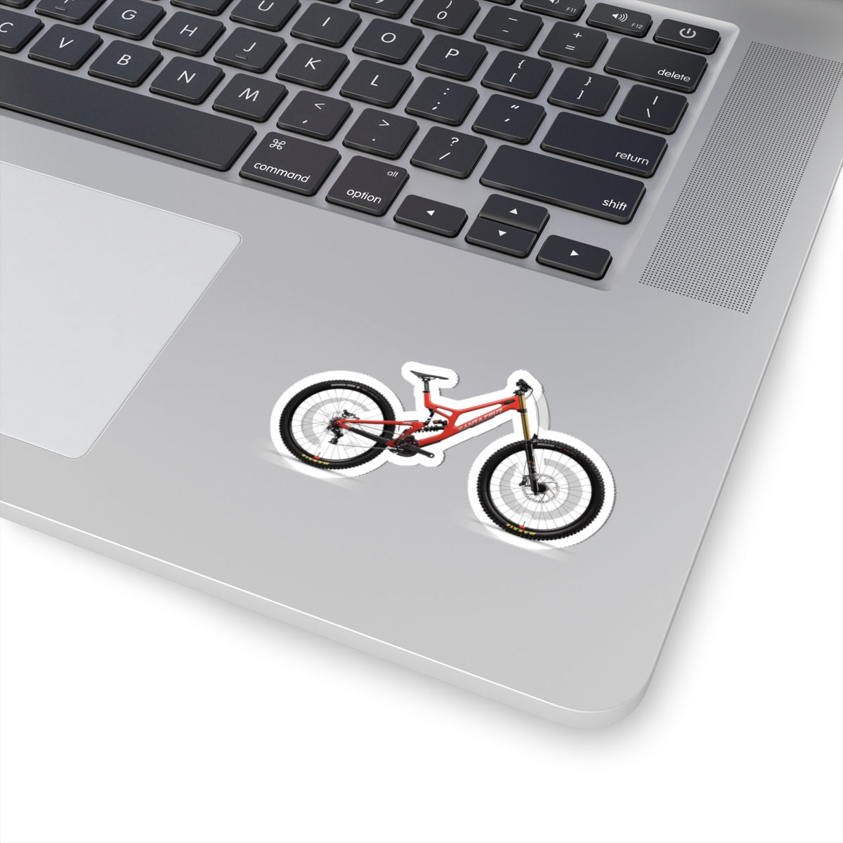Santa Cruz V10 Factory Sticker